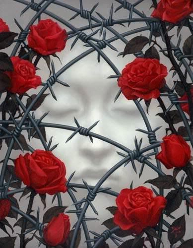 barb wire roses