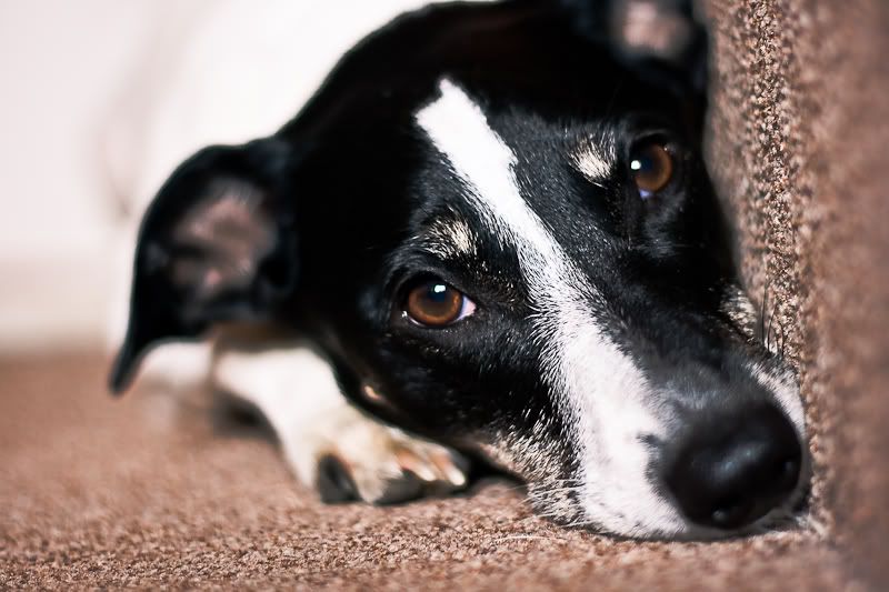 IMAGE: http://i204.photobucket.com/albums/bb139/johnnyboy090689/IMG_1848.jpg