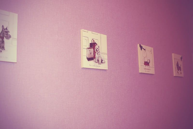 http://i204.photobucket.com/albums/bb152/fjall/1a2.jpg?t=1265057045