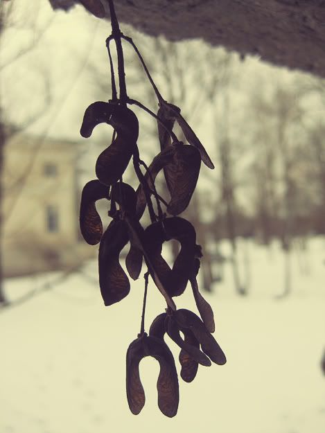 http://i204.photobucket.com/albums/bb152/fjall/aa4.jpg?t=1234648017