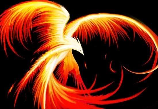 Phoenix Bird Drawings how to pull a glow phoenix by nina160160 