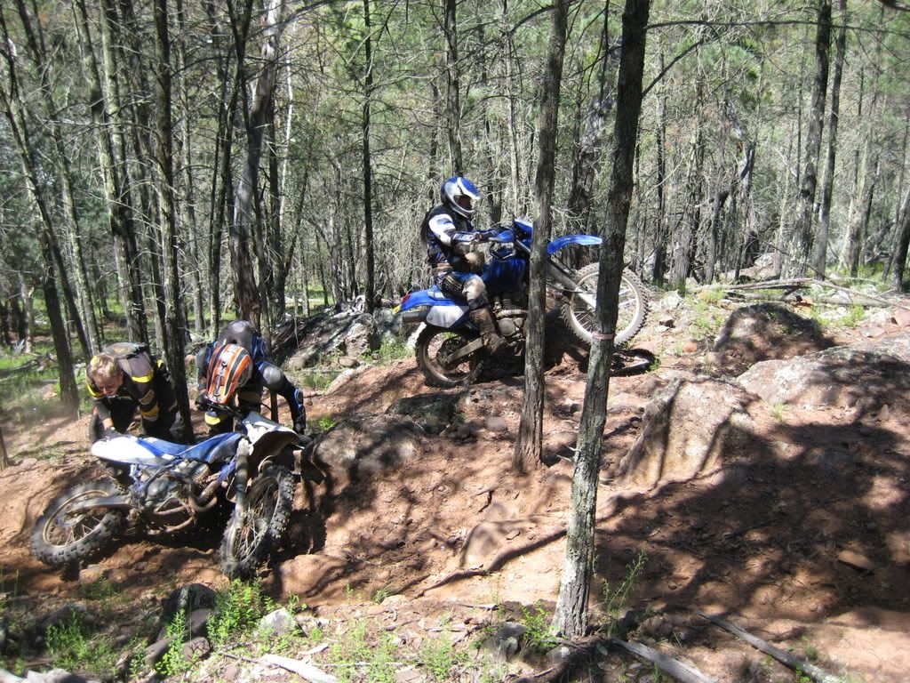 IMG_0913.jpg