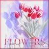 FLOWERS.jpg