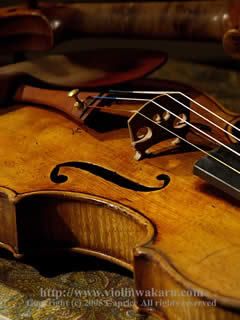 violina Pictures, Images and Photos