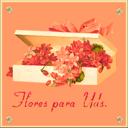 FLORES-9.gif image by lmq200028