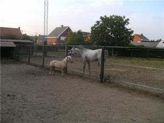 inbeslagname 8 juli 2010