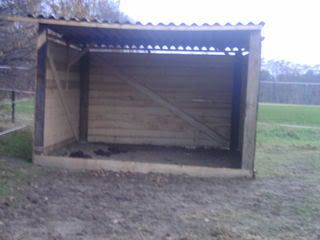 gesponsorde stal