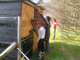 helpers