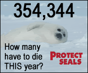 Protect Seals