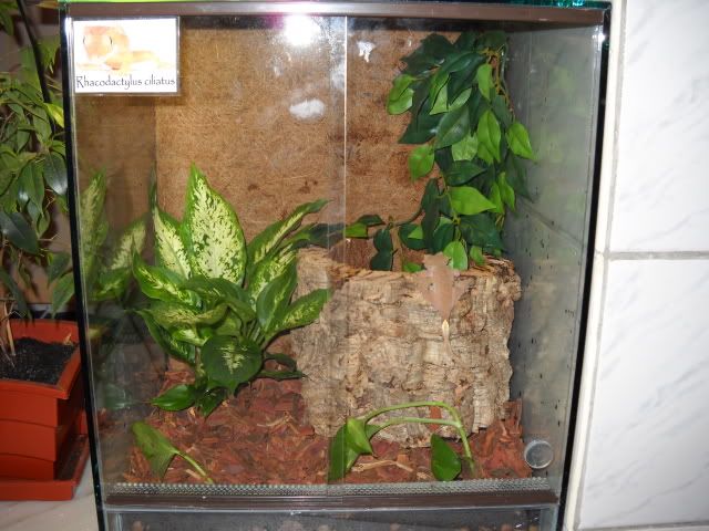 Picture029-1.jpg