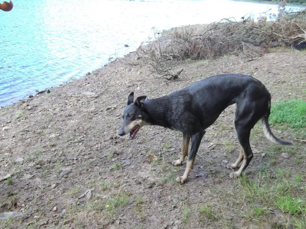 050911098.jpg