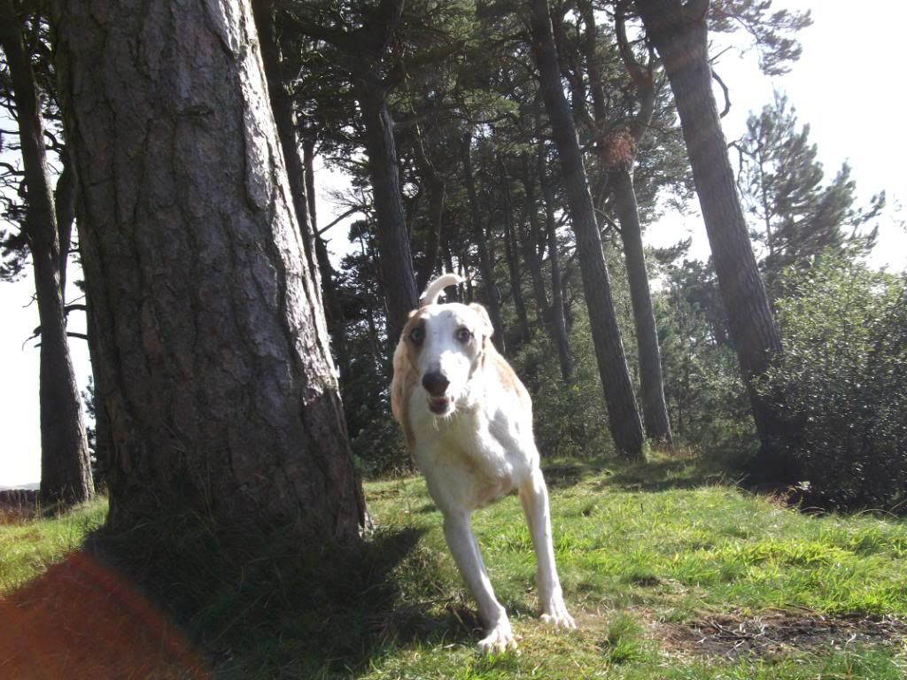 050911100.jpg