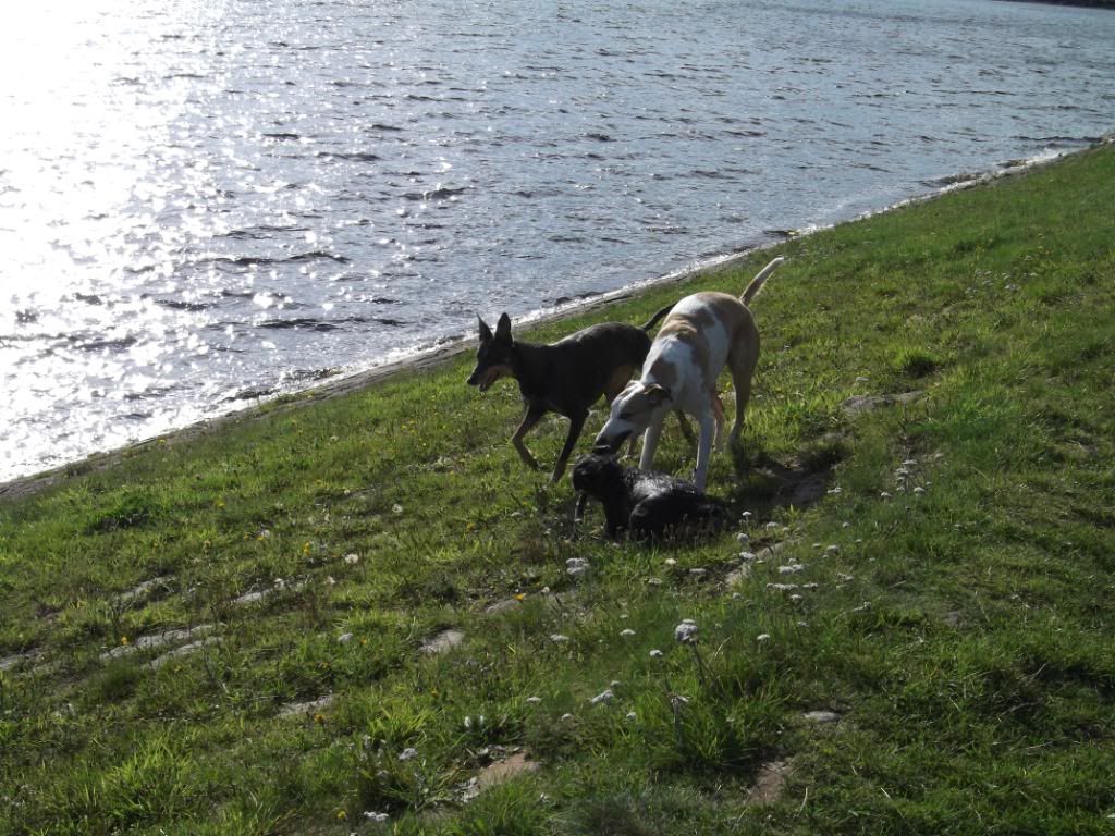 050911123.jpg