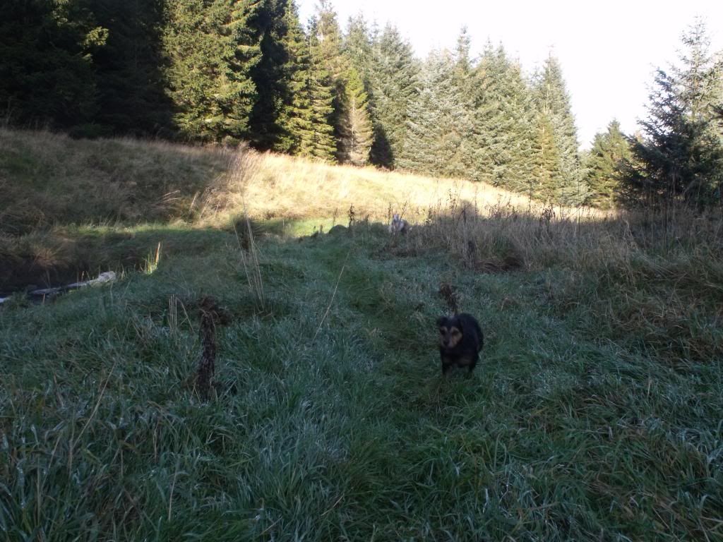 061111013.jpg