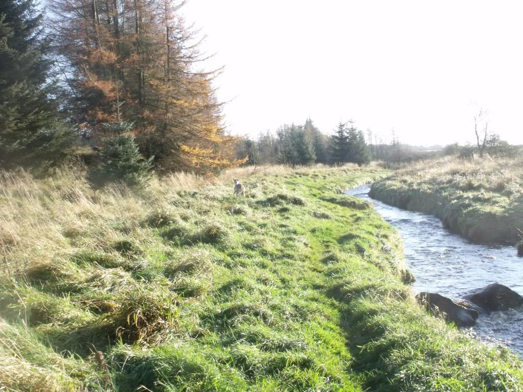 061111066.jpg