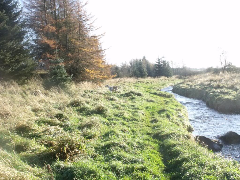 061111067.jpg