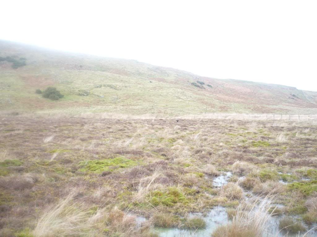 071208167.jpg
