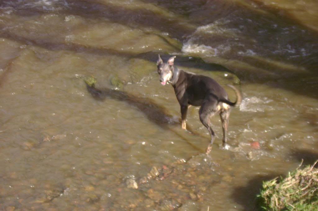 080309023.jpg