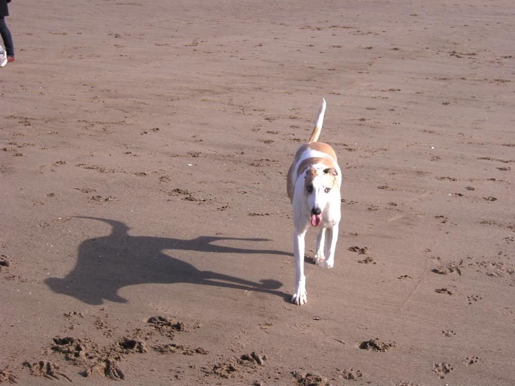 130311111.jpg