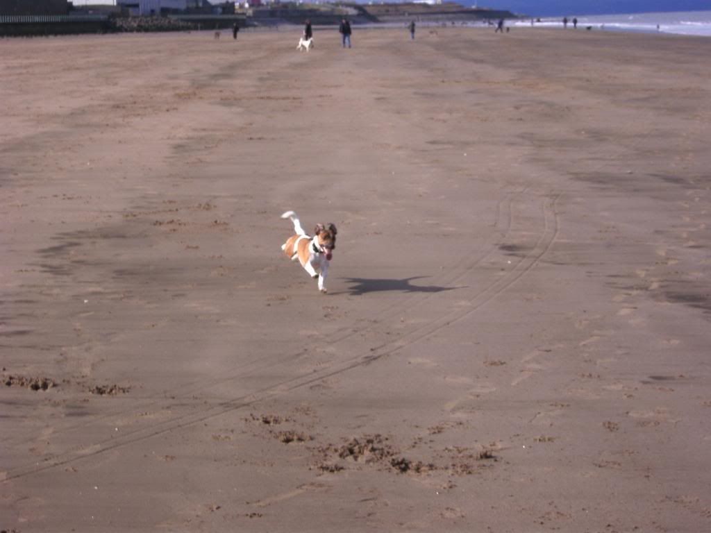130311151.jpg