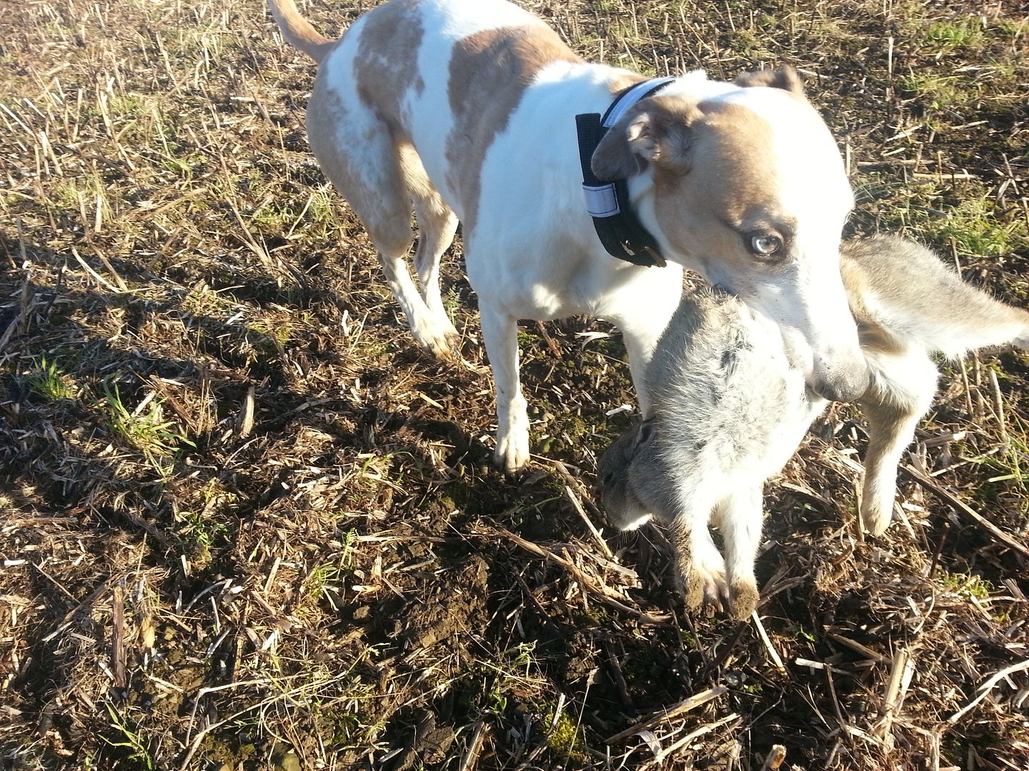 20121118_132146.jpg