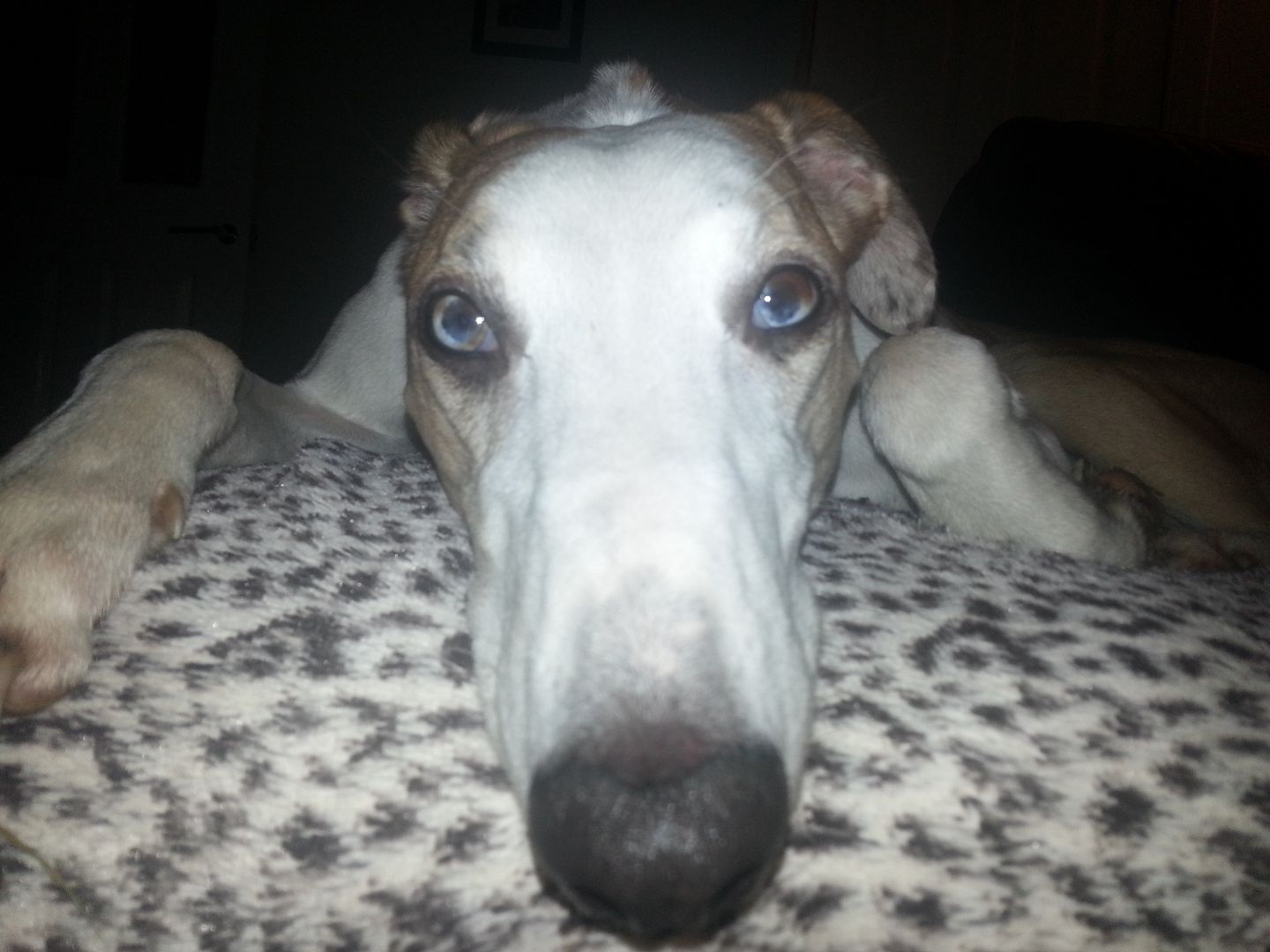 20121124_223650.jpg