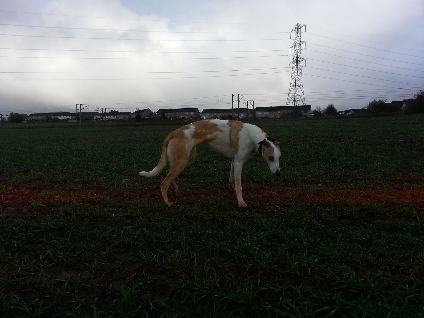 20130513_191958_zps0a3cf934.jpg