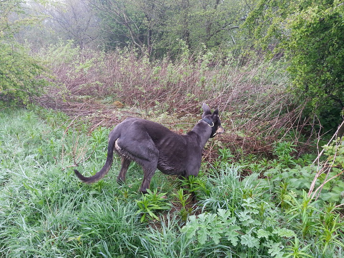 20130519_114810_zps54f0ce84.jpg