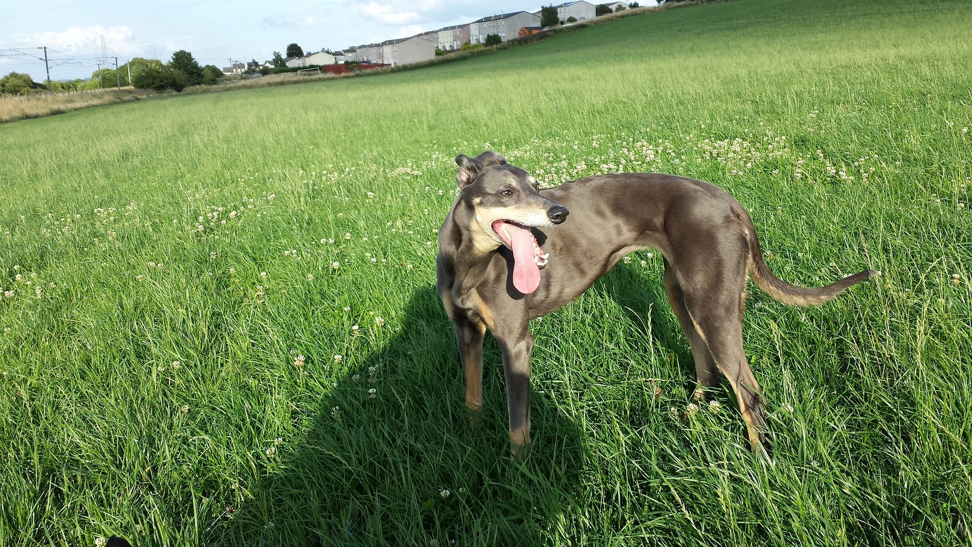 20130803_190109_zpsfbf7d6fd.jpg