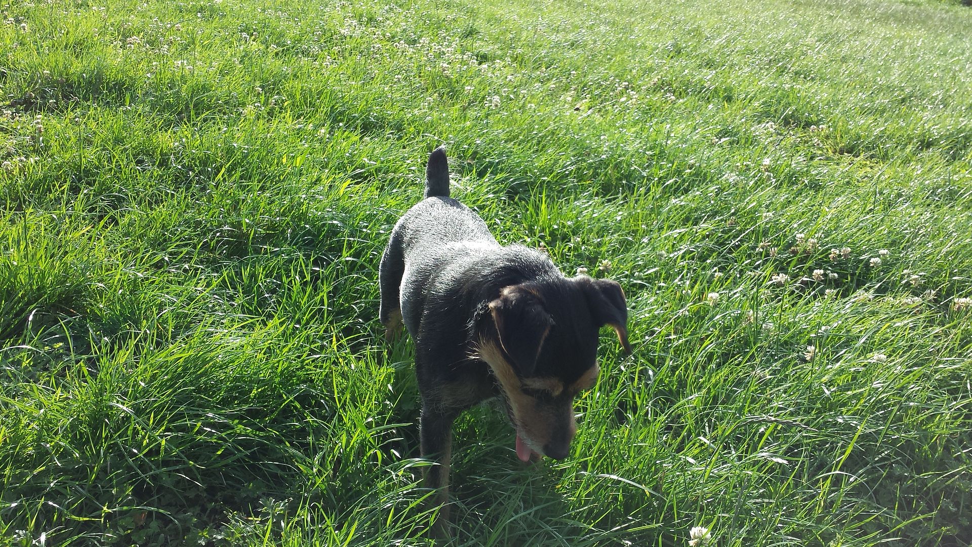 20130803_190231_zps5041d491.jpg