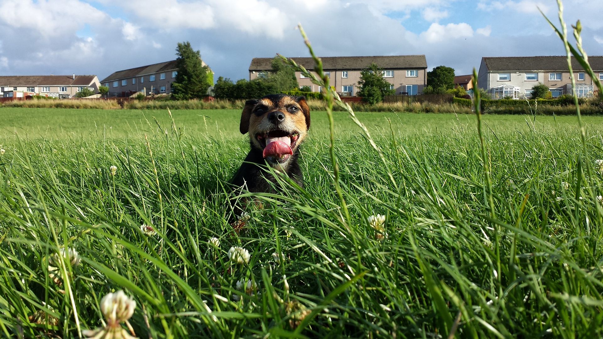 20130803_190601_zps36cf5075.jpg