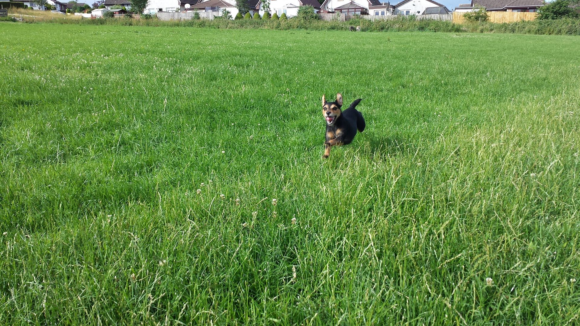 20130804_085132_zps701dd038.jpg