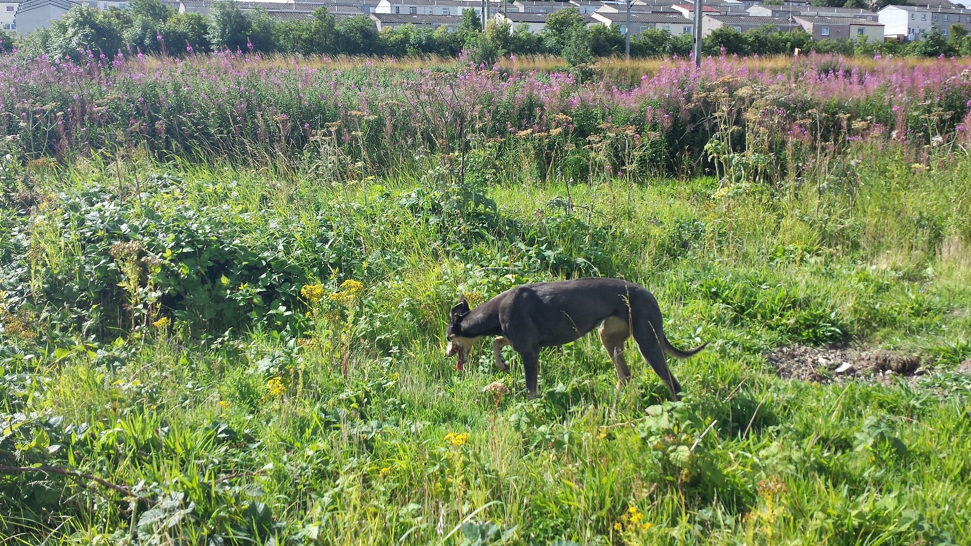 20130811_104103_zps6fdd8c2a.jpg