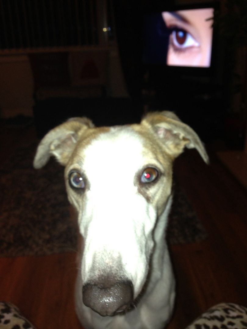 46E42FC3-0D1D-4B7B-92D8-478350C1BF9A-844