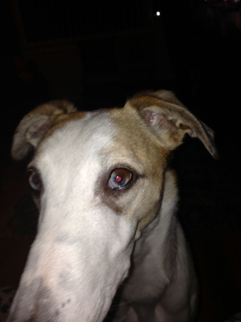 64F6A41E-A006-4FF0-B5F4-F97BA26A7CBC-844