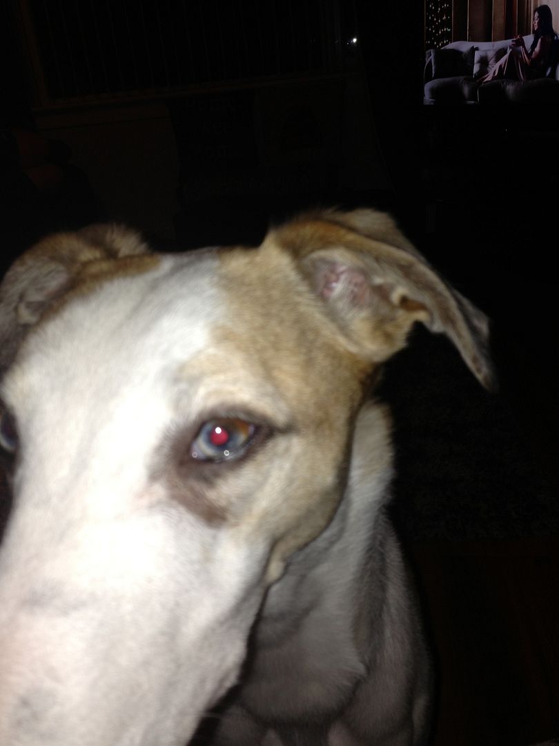 DECD680A-D156-4EF0-B518-52E5B93D7AFC-844