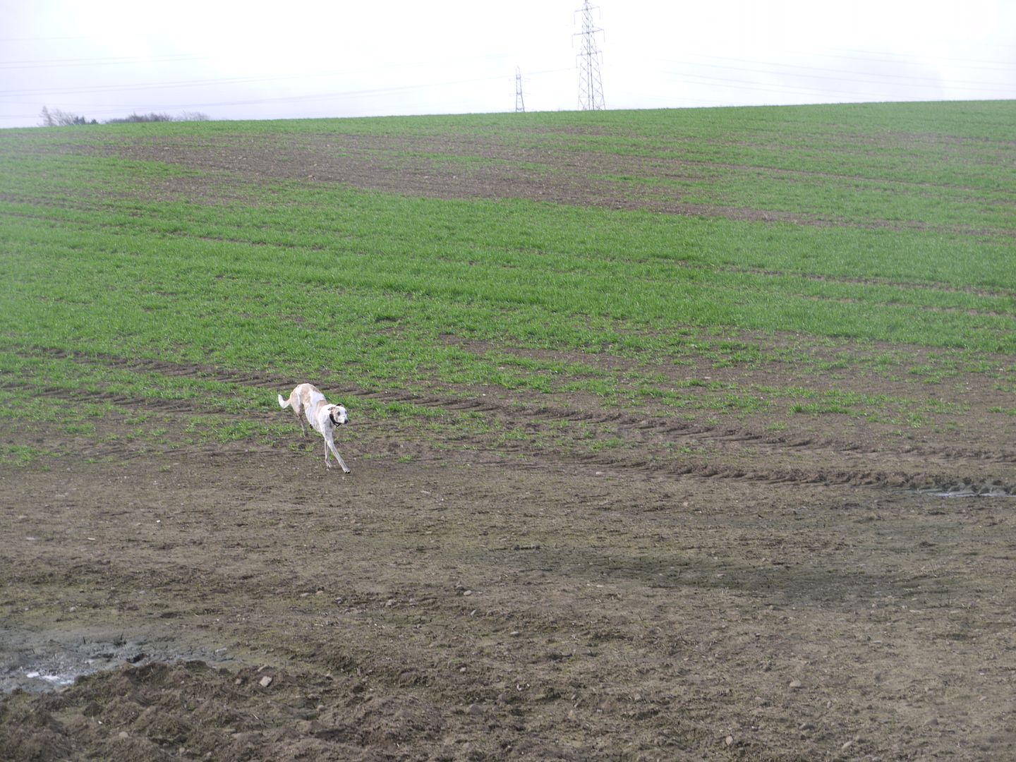 P1010915_zps655d5c56.jpg