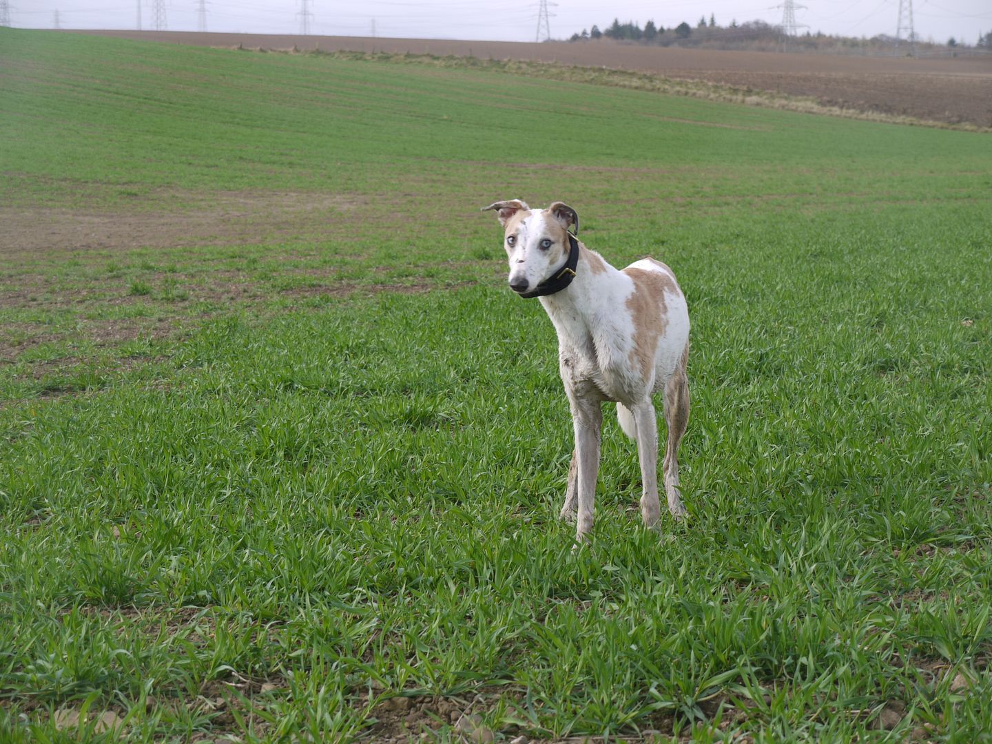 P1010918_zps755198c7.jpg