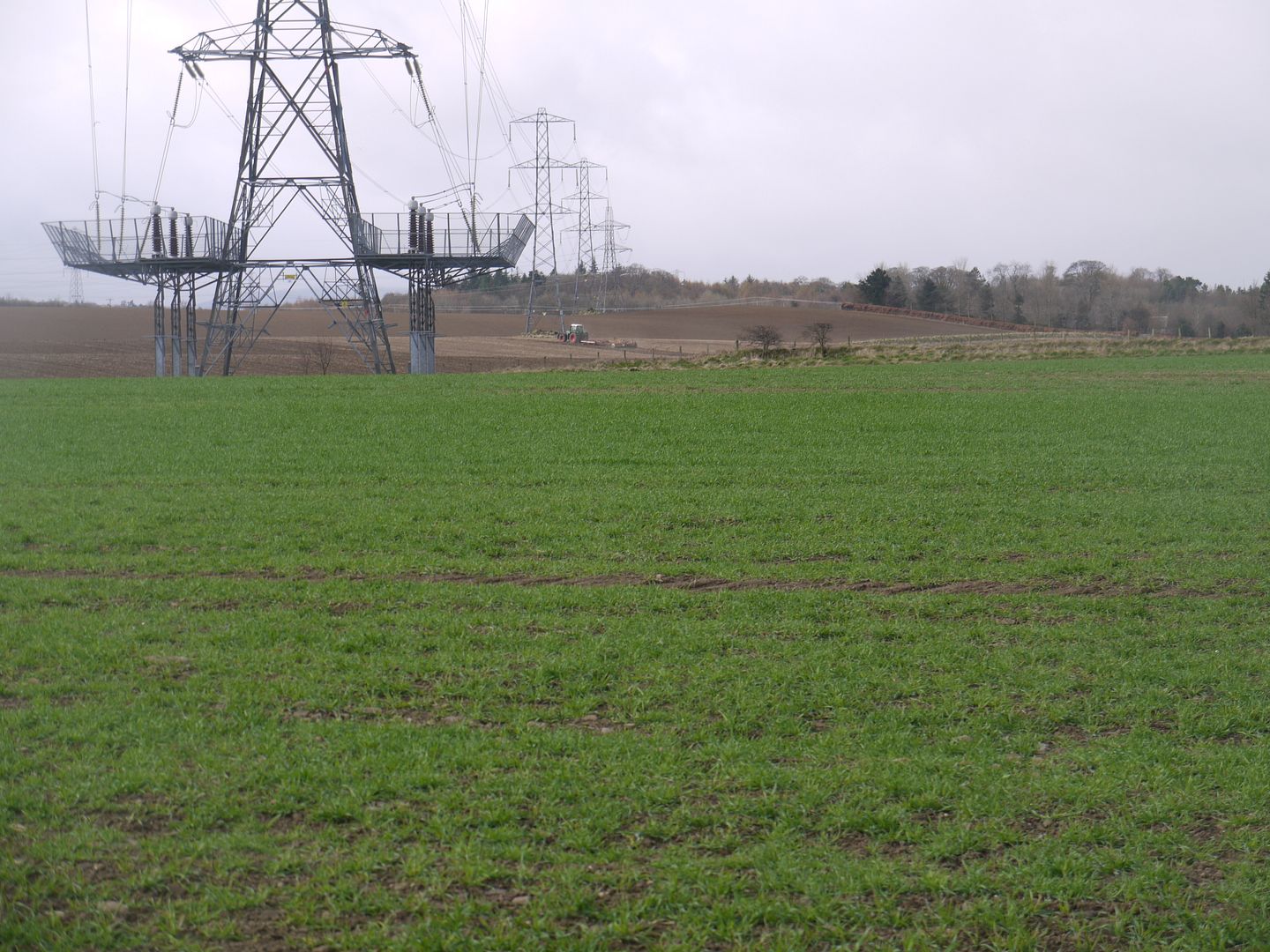 P1010919_zpsee1d7125.jpg