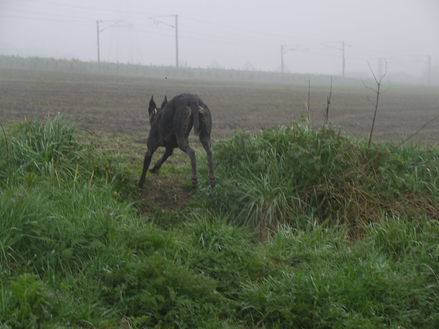 P1010978_zpsf17d67d4.jpg