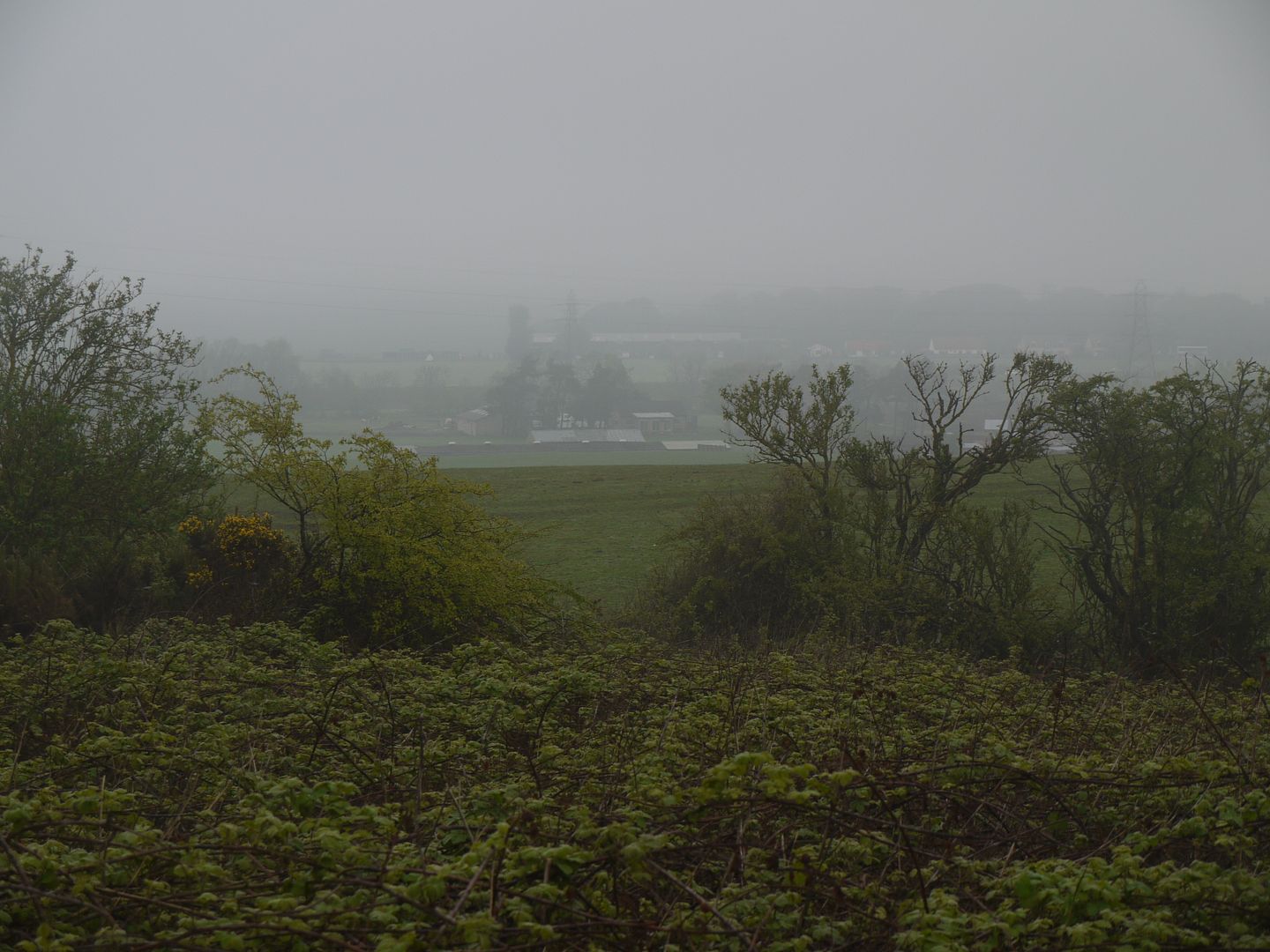 P1010981_zps9dc3788a.jpg