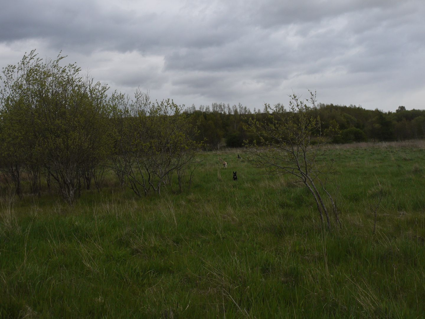 P1010993_zpsea525cb4.jpg