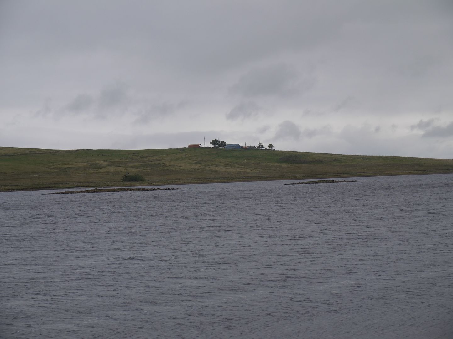 P1020077_zpsf6096f9a.jpg