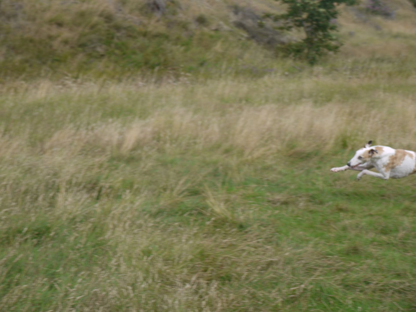 P1020120_zpsc2daacd7.jpg