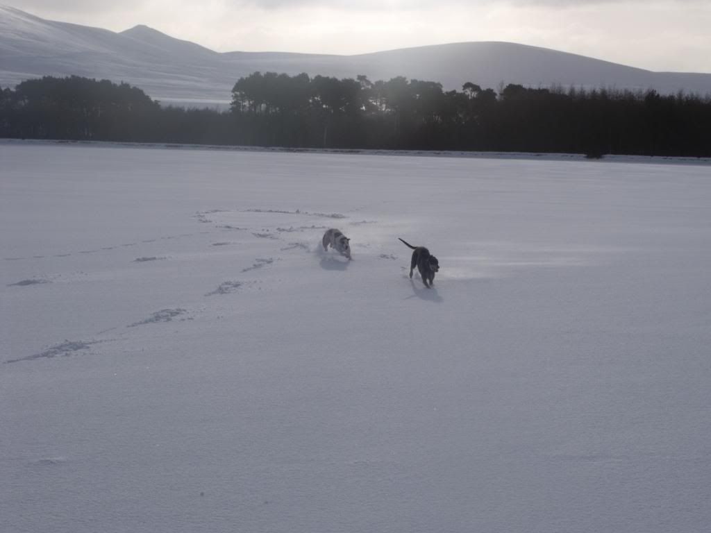 bonaly100110070.jpg