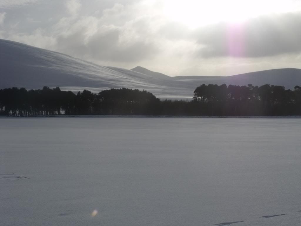 bonaly100110071.jpg