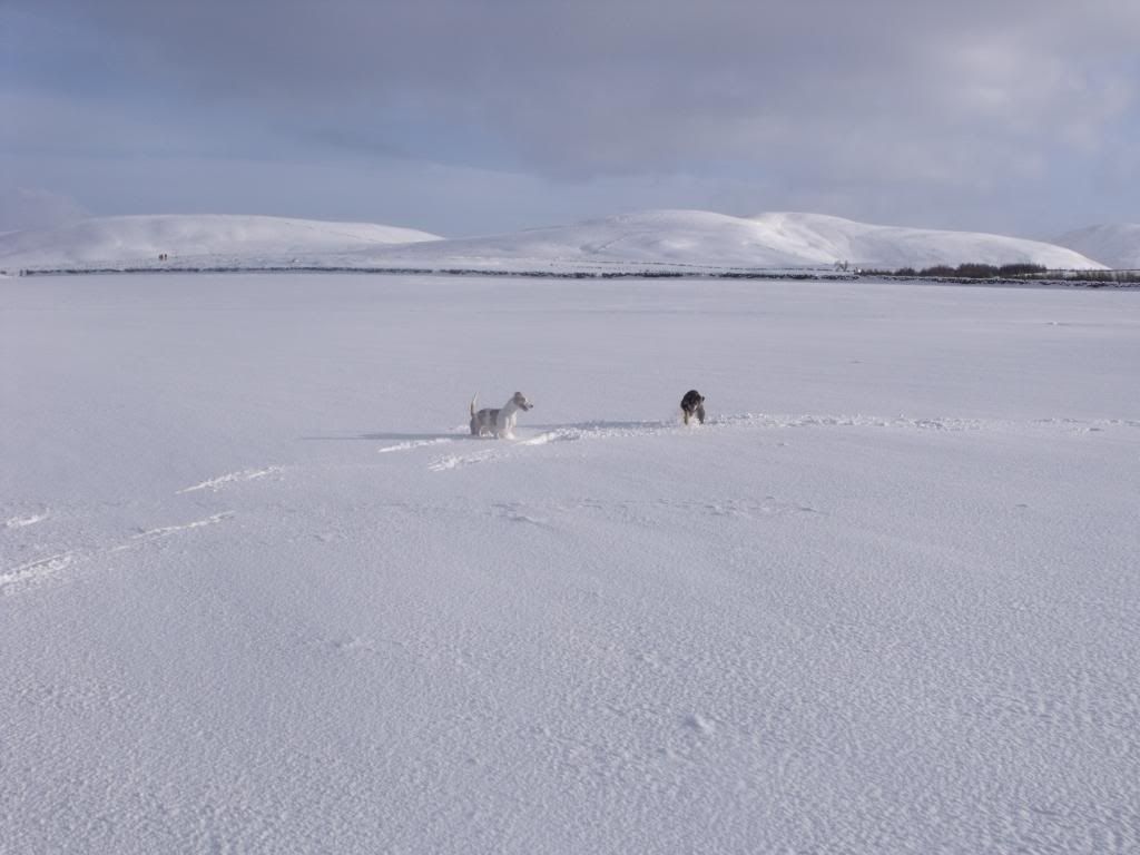 bonaly100110075.jpg