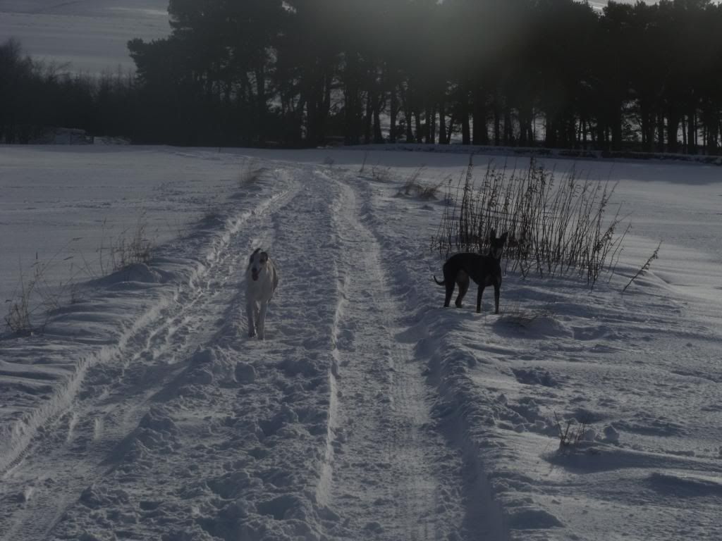 bonaly100110076.jpg