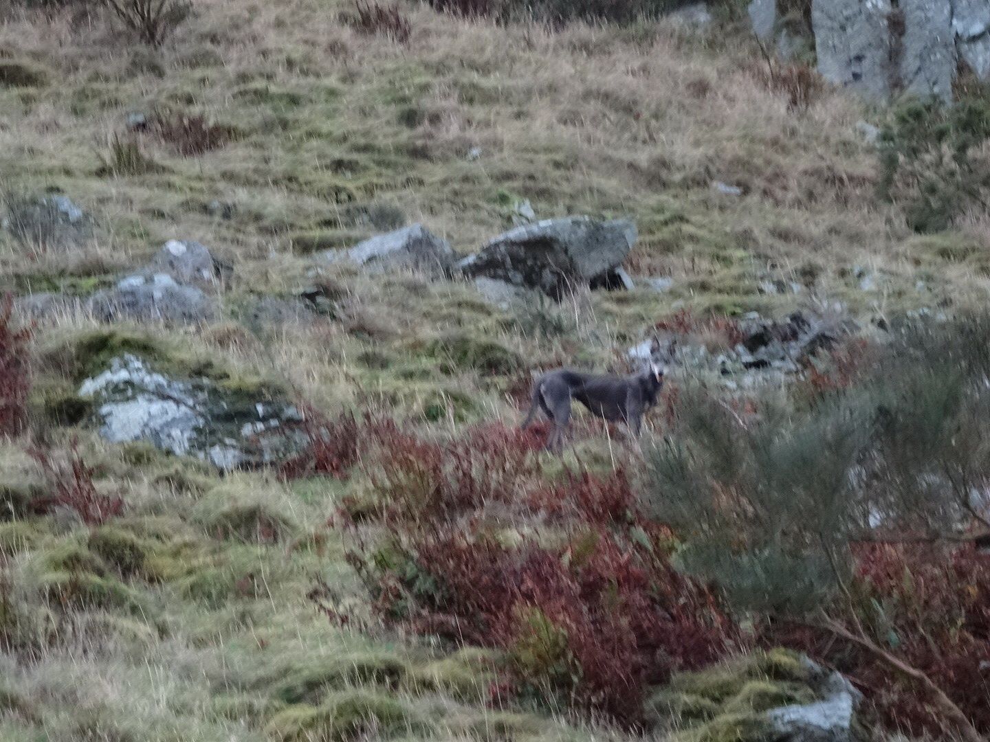 imagejpg14_zps515f8203.jpg
