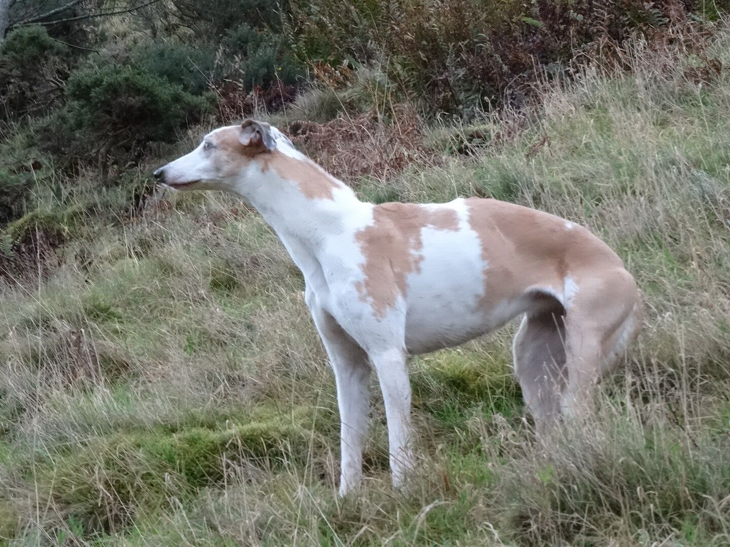 imagejpg17_zpsfe3b3841.jpg